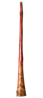 Tristan O'Meara Didgeridoo (TM417)